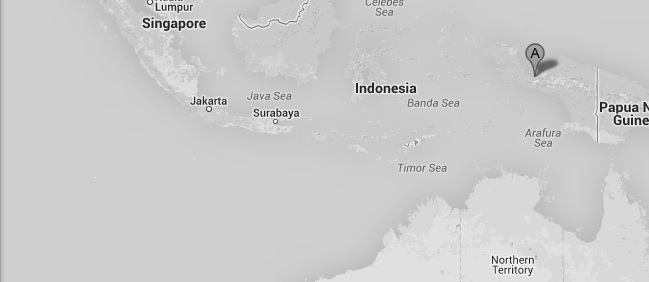 Boxing Match Riot Kills 17 in Nabire, West Papua