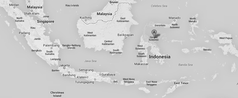 Sherritt Spent US$27.6 Million in Sulawesi Nickel Project