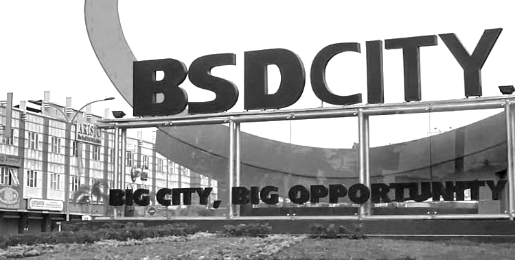 BSD Posts 49% Profit Growth