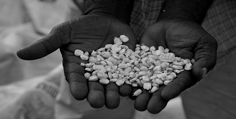 BISI International Targets 25% Profit Growth
